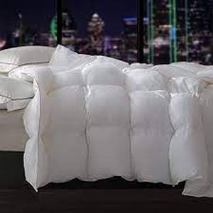 lot 2964 image: Elemuse Standard Comforter