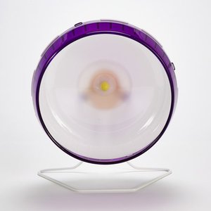 lot 47661 image: Kaytee Silent Spinner Wheel Giant