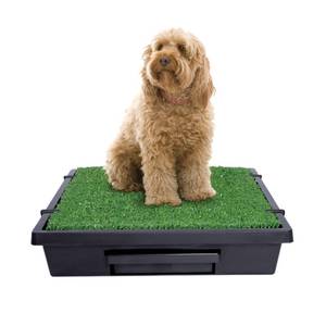 lot 47719 image: PetSafe Pet Loo, Medium USED