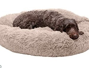 lot 47762 image: Furhaven Cozy Pet Bed Cover