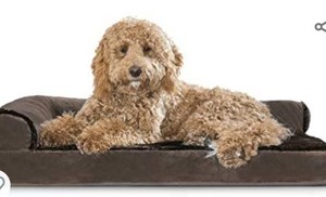 lot 47794 image: Brown Dog Bed,USED