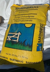 lot 20 image: Barenburg Baridana 25lbs Grass Seed