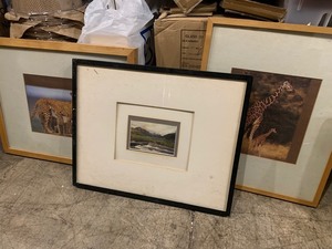 lot 107 image: Animal Landscape Picture Framed Set