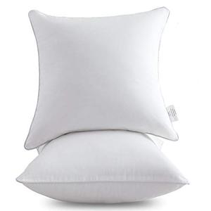 lot 20981 image: Oubonun 20 x 20 Pillow Inserts (Set of 2) - Throw Pillow Inserts with 100% Cotton Cover - 20 Inch Square Interior Sofa Pillow Inserts - Decorative Pillow Insert Pair - White Couch Pillow