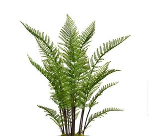 lot 1626 image: Vintage Home Artificial Faux Real Touch 5.17 Feet Tall Fern Plant With Eco Paper Planter - 62- Retail$383.99