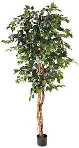 lot 11013 image: Nearly Natural 6ft. Ficus Artificial Trees, 72in, Green