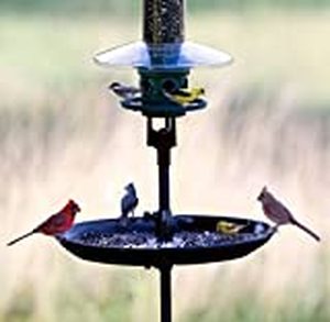 lot 54925 image: Brome Bird Care Seed Buster Seed Tray and Catcher (1020) Eliminates Ground Mess