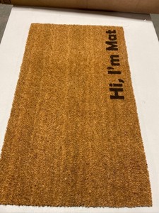 lot 54990 image: Entry door mat