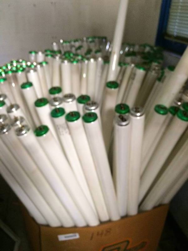 lot 1086 image: Large light bulbs for shop Approx 150