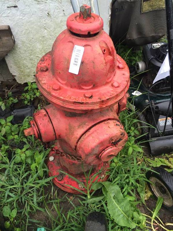 lot 1040 image: COOL FIRE HYDERANT Red