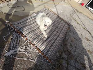 lot 1663 image: Large hammock
