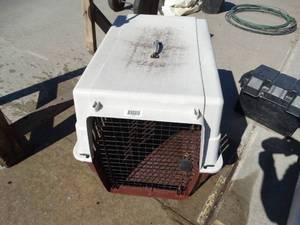 lot 1688 image: Pet taxi