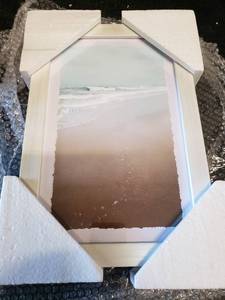 lot 7277 image: Marmont Hill-Handmade Nature Exhibition 12x8