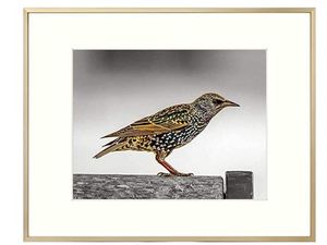 lot 7249 image: AUEAR 16x20 Metal Picture Frame