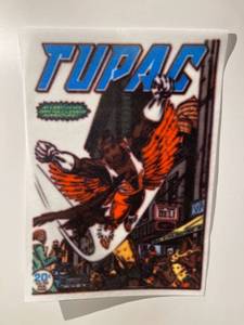 lot 21597 image: Tupac Shakur flying falcon art print