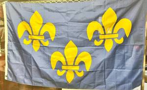 lot 21699 image: Fluer de Lys Flag