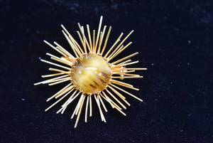 lot 1011 image: Austria SunStarFlower Brooch  Gold-tone & Colored Glass