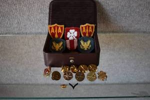 lot 1194 image: Lot of Military Insignia Badges and Pins in Case