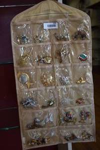 lot 1203 image: Lot of Assorted Jewelry in Hanging Organizer  Brooches, Pins, Etc.