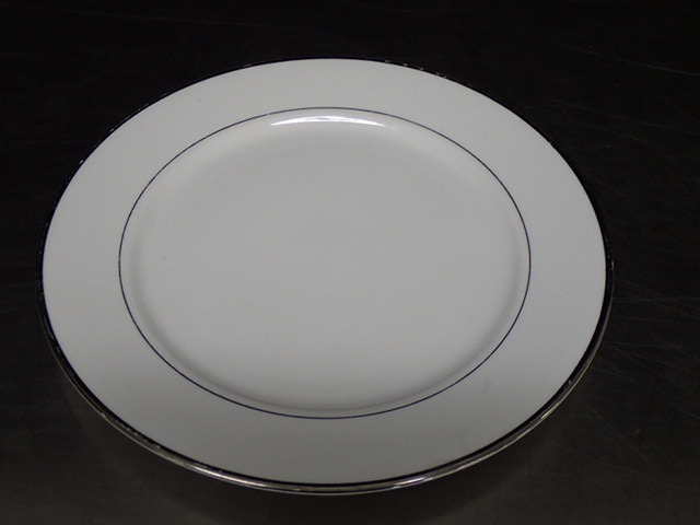 lot 9025 image: (20) 10.5 Dinner Plates