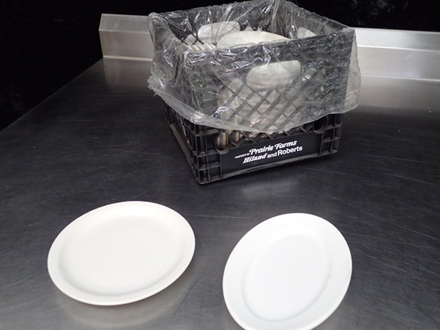 lot 9063 image: 10.5in x 7in Plates and 9in Plates