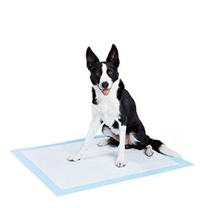lot 8006 image: Basics Dog and Puppy Pee, Potty Training Pads, X-Large (28 x 34) - Pack of 50