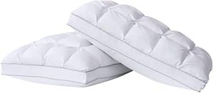 lot 7995 image: Charisma Set Of 2 Pillows 18x26x2