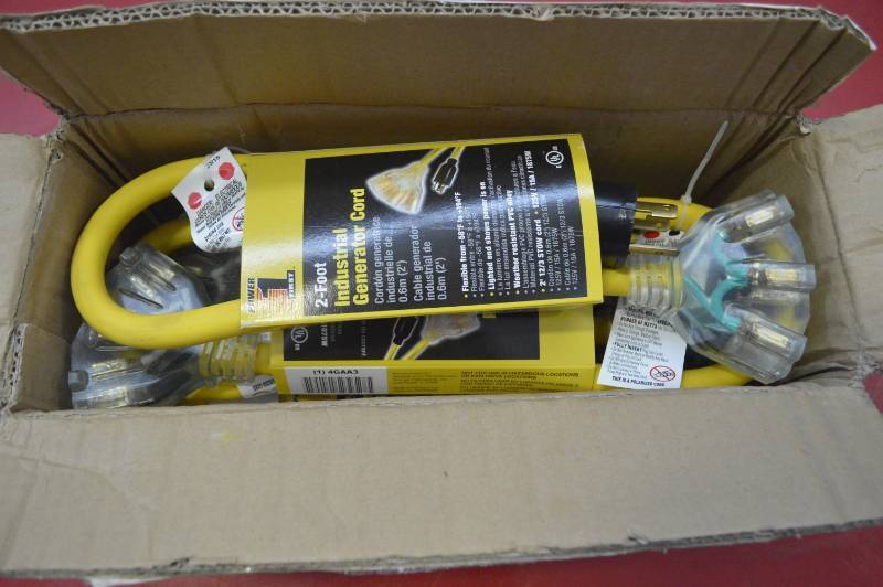lot 2027 image: EXTENSION CORDS