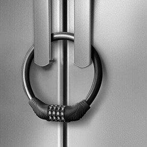 lot 4585 image: Fresheracc Fridge Freezer Refrigerator Cabinet Lock Latch, 10000 Combinations Baby Child Kids Safety Locks for French Doors, Safe Strap Kitchen Bathroom Doors RV No Drill No Screw