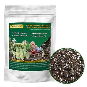 lot 7551 image: Organic Succulents & Cactus Soil Mix, Professional Potting Soil, Fast Draining Pre-Mixed Blend, Small Bag Garden Soil for Indoor Plants, Aloe Vera, Snake Plant, Spider Plant, ZZ Plants, 2 Quarts