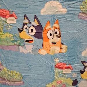 lot 7729 image: Cartoon Blue Dog Blanket 3D Print Throw Blanket Super Soft Warm Flannel for Bed Sofa Couch