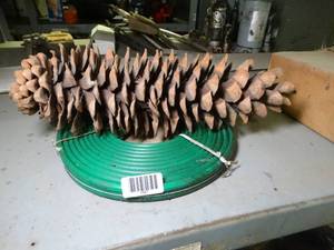 lot 1047 image: Large Pine Cone and Garden Hose