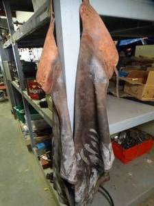 lot 1072 image: Leather Chaps