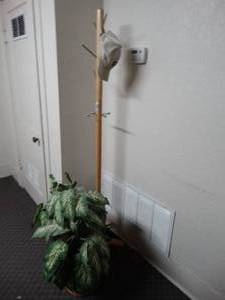 lot 1699 image: Hall-tree and Faux Plant