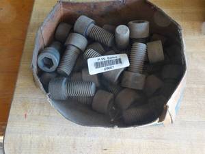 lot 29667 image: Large Allen Bolts