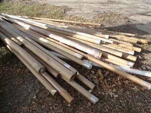 lot 1923 image: Large Lot of Long Cardboard Tubes