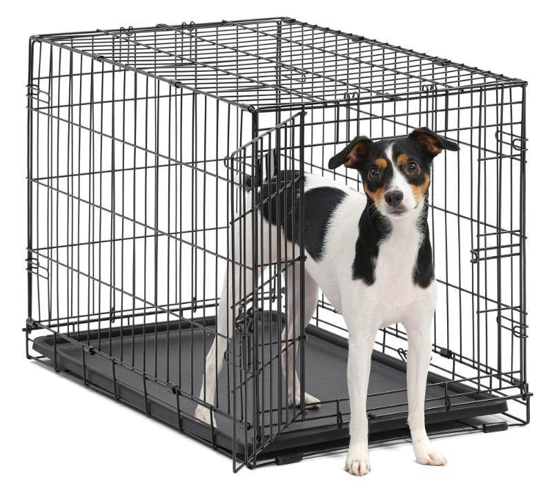 lot 3369 image: MidWest Single Door iCrate Metal Dog Crate