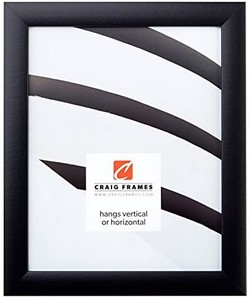 lot 3179 image: Craig Frames Contemporary Picture Frame, 20 x 27 Inch, Black