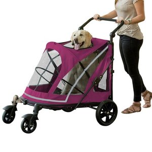 lot 5708 image: Pet Gear Expedition Jogging Pet Stroller, Boysenberry