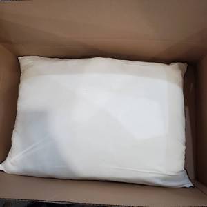 lot 3102 image: 2 JOLLYVOGUE BRUSHED MICROFIBER PILLOWS WHITE