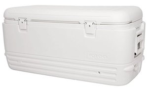 lot 19137 image: Igloo Polar 120 Qt. Cooler- Retail $80