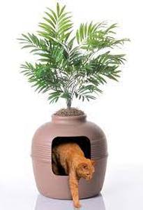 lot 61515 image: Hidden Litter Box