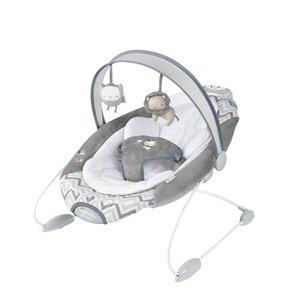 lot 8489 image: Ingenuity SmartBounce Automatic Bouncer - Braden