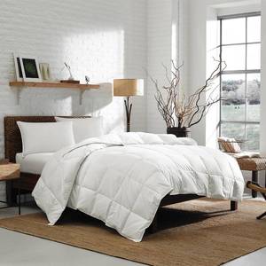 lot 8491 image: Eddie Bauer Lightweight Oversized Queen Down Comforter