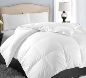 lot 8498 image: Easeland Comforter, White 90x120 Inches