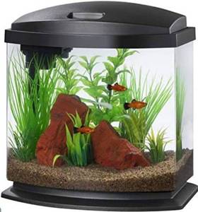 lot 3407 image: Aqueon Aquarium LED MiniBowl