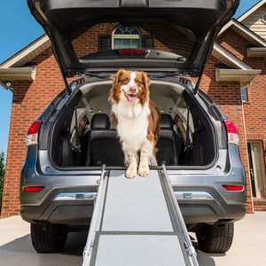lot 37029 image: PetSafe Happy Ride Telescoping Pet Ramp for Dogs and Cats, Aluminum Lightweight, 39 in. - 72 in.