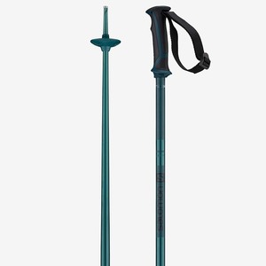 lot 37126 image: Salomon Arctic, 110, Blue - Retails for $42.16