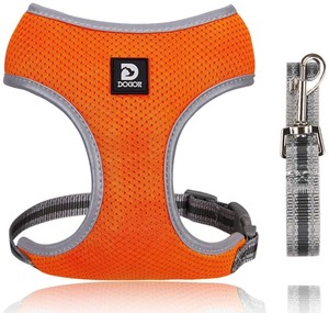lot 37158 image: XS Orange Puppy Harness and Leash Set - Dog Vest Harness for Small Dogs Medium Dogs- Adjustable Reflective Step in Harness for Dogs - Soft Mesh Comfort Fit No Pull No Choke