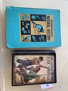lot 52 image: The Adventures of Tom Sawyer & The Golden Treasury of Natural History